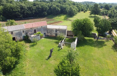 Tinjan, okolica, Kamena Istarska kuća okružena zelenilom.