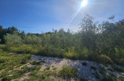Građevinsko zemljište sa građevinskom dozvolom za 5 stanova, 5 km od mora i Poreča!!! 2