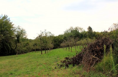 Istra, Poreč okolica - Građevinsko i poljoprivredno zemljište u prirodnom okruženju 3