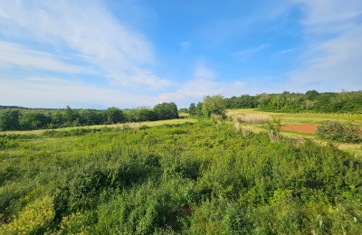 Baugrundstück in der Nähe von Višnjan