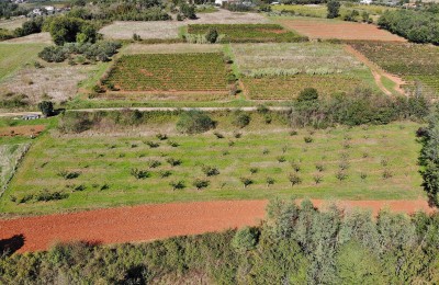 Istria, Vižinada - Land with construction and agricultural part 6