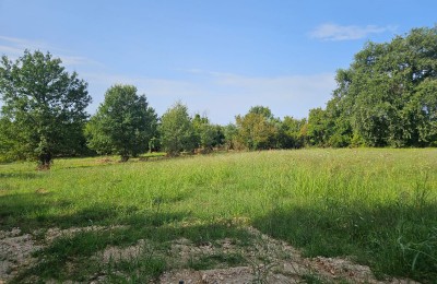 Terreno edificabile per la costruzione di appartamenti o case unifamiliari 3