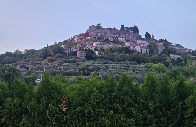 Terreno edificabile con permesso di costruire con vista su Motovun 3