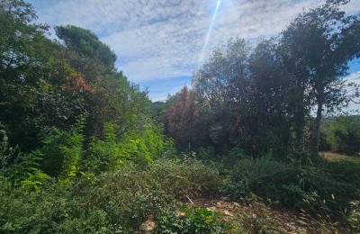 Istra, Lovreč - Građevinsko i poljoprivredno zemljište ukupne površine 4.980 m² 4