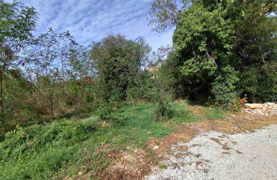 Istra, Lovreč - Građevinsko i poljoprivredno zemljište ukupne površine 4.980 m² 2