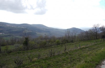 Motovun, okolica, zemljišče s pogledom na Motovun! 2