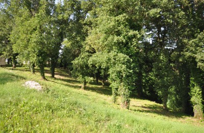 Building land for the construction of several houses - 3266m2 3