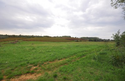 Baugrundstück für zwei Villen mit Swimmingpool in ruhiger Lage 1