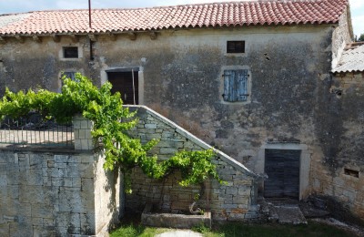 Tinjan, Umgebung, Steinhaus in Istrien, umgeben von Grün. 7