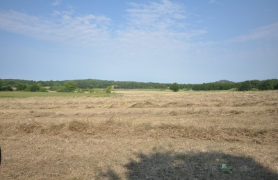 Poljoprivredno zemljište 5