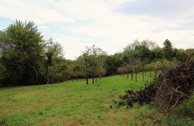 Istra, okolica Poreča - Stavbno in kmetijsko zemljišče v naravnem okolju 1