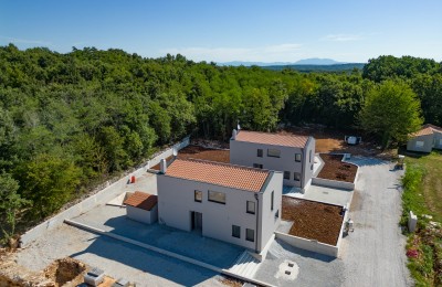 Poreč, okolica, simpatična kuća sa bazenom okružena zelenilom! - u izgradnji