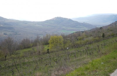 Motovun, okolica, zemljišče s pogledom na Motovun! 4