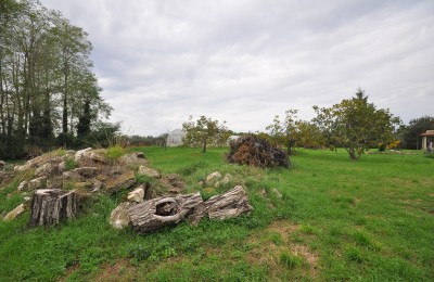 Terreno edificabile per due ville con piscina in posizione tranquilla 5