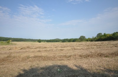 Poljoprivredno zemljište 4