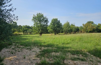 Terreno edificabile per la costruzione di appartamenti o case unifamiliari 4