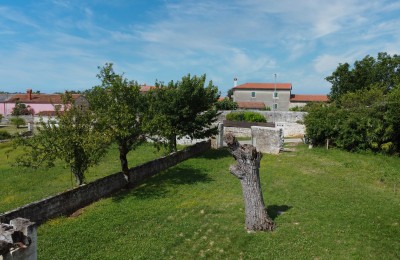 Tinjan, okolica, Kamnita istrska hiša obdana z zelenjem. 8