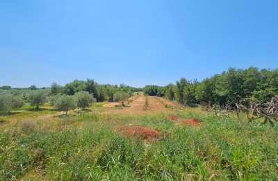 Prostrana vila sa predivnim pogledom na more 23