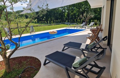 Haus mit Swimmingpool am Dorfrand mit Blick auf den Wald 6