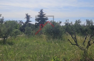 Građevinsko zemljište sa građevinskom dozvolom za 5 stanova, 5 km od mora i Poreča!!!