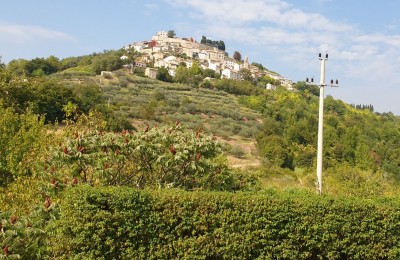 Terreno edificabile con permesso di costruire con vista su Motovun 2