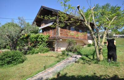 Casa in legno unica con ampio giardino 3