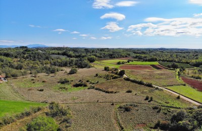 Istria, Vižinada - Land with construction and agricultural part 7