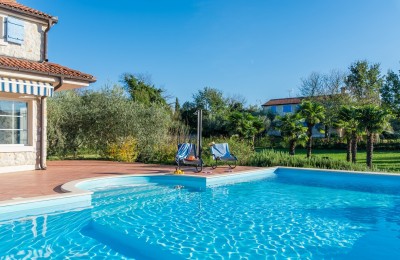 Prostrana vila sa tri apartmana, bazenom i prekrasnom okućnicom 6