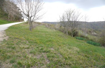 Motovun, okolica, zemljišče s pogledom na Motovun! 3