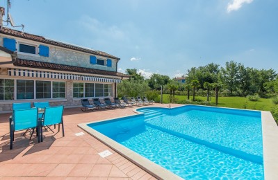Prostrana vila sa tri apartmana, bazenom i prekrasnom okućnicom 7