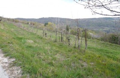 Motovun, surroundings, plot with a view of Motovun! 6