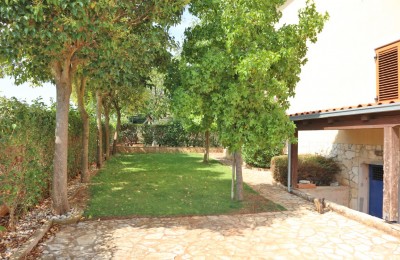 Zona Parenzo, casa con 3 unità abitative 4