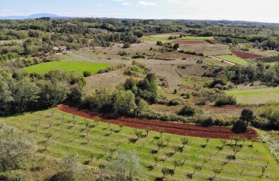 Istria, Visinada - Terreno con parte edificabile e agricola 2