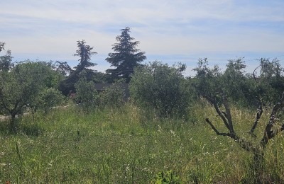 Građevinsko zemljište sa građevinskom dozvolom za 5 stanova, 5 km od mora i Poreča!!!