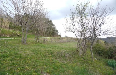 Motovun, surroundings, plot with a view of Motovun!