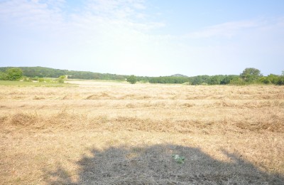 Poljoprivredno zemljište 6