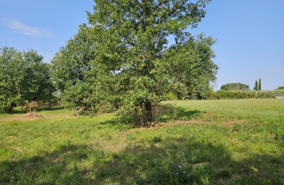 Terreno edificabile per la costruzione di appartamenti o case unifamiliari 5